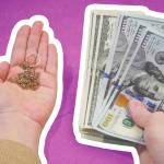 Golden jewellry and money in hands, sell gold jewellry, pawnbroker with dollar banknots in the hand, sale and buying, closeup