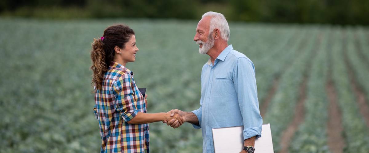 Old and young farmers shake hands