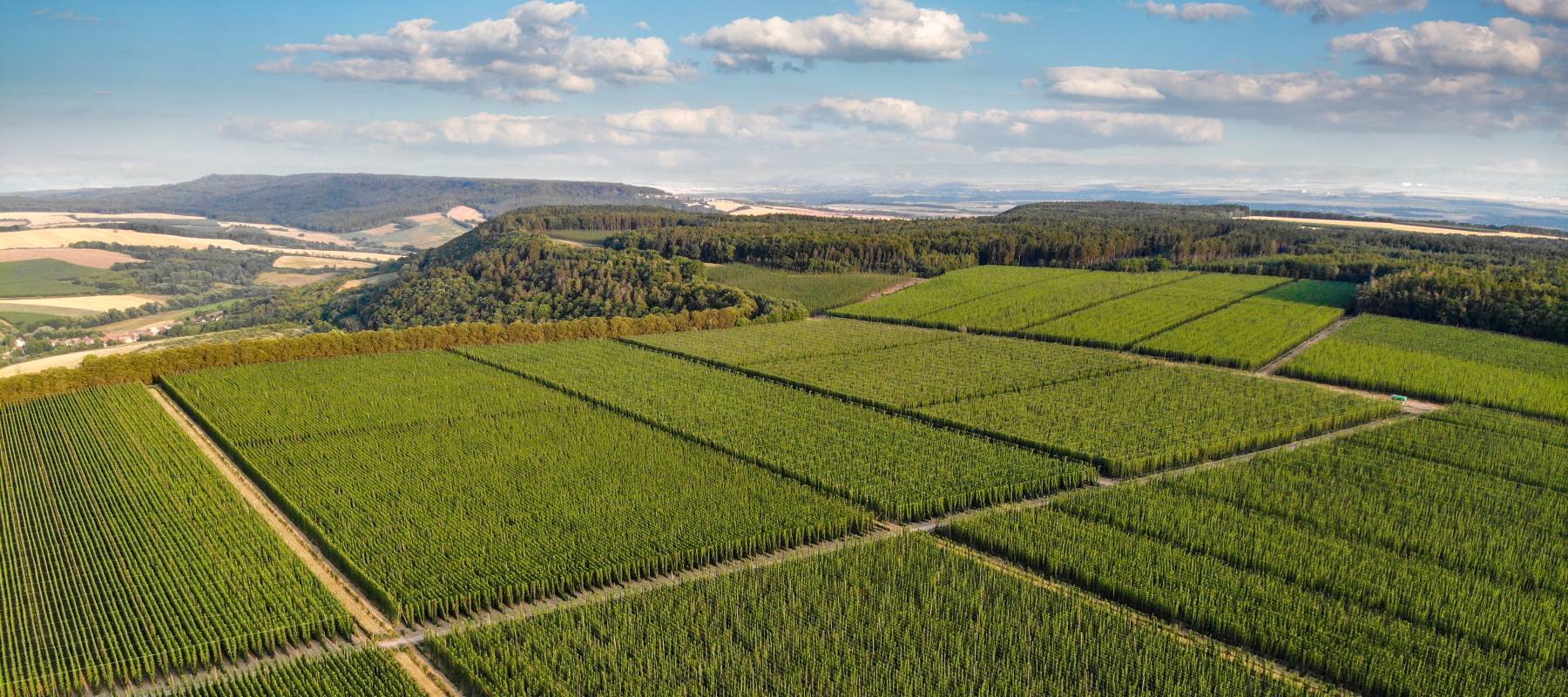 Farmland with a horizon