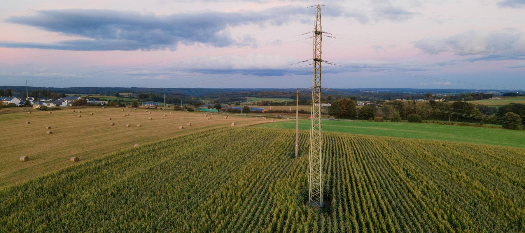 Green farm field with a hydro pole in the middle