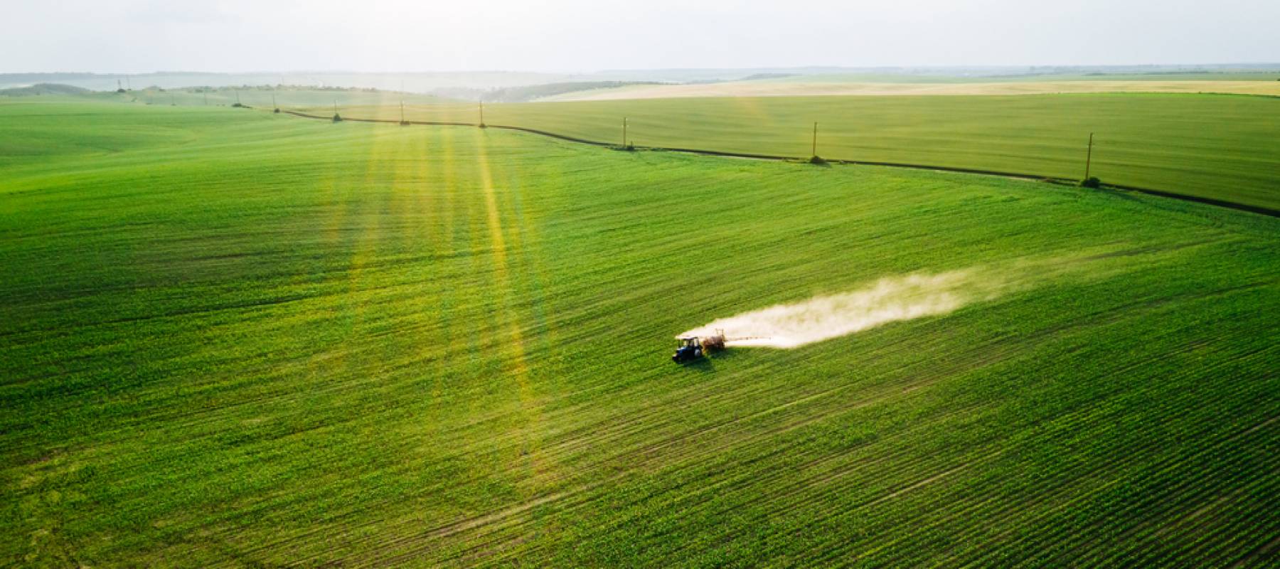 Sunny farmer's field