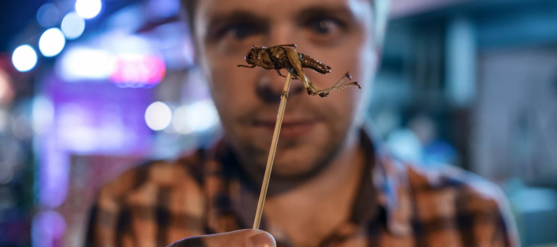Young male eating cricket at night market.