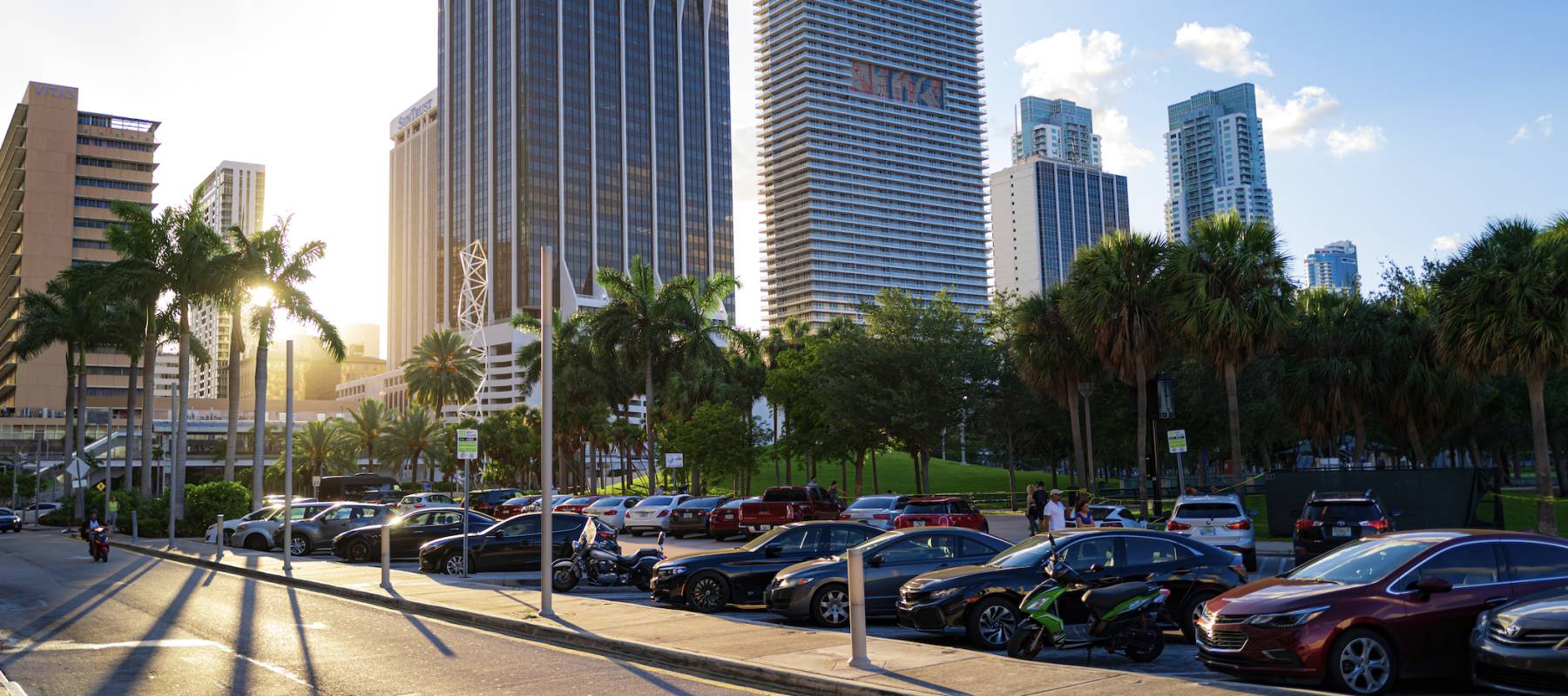 Panorama of downtown. City with palm trees.