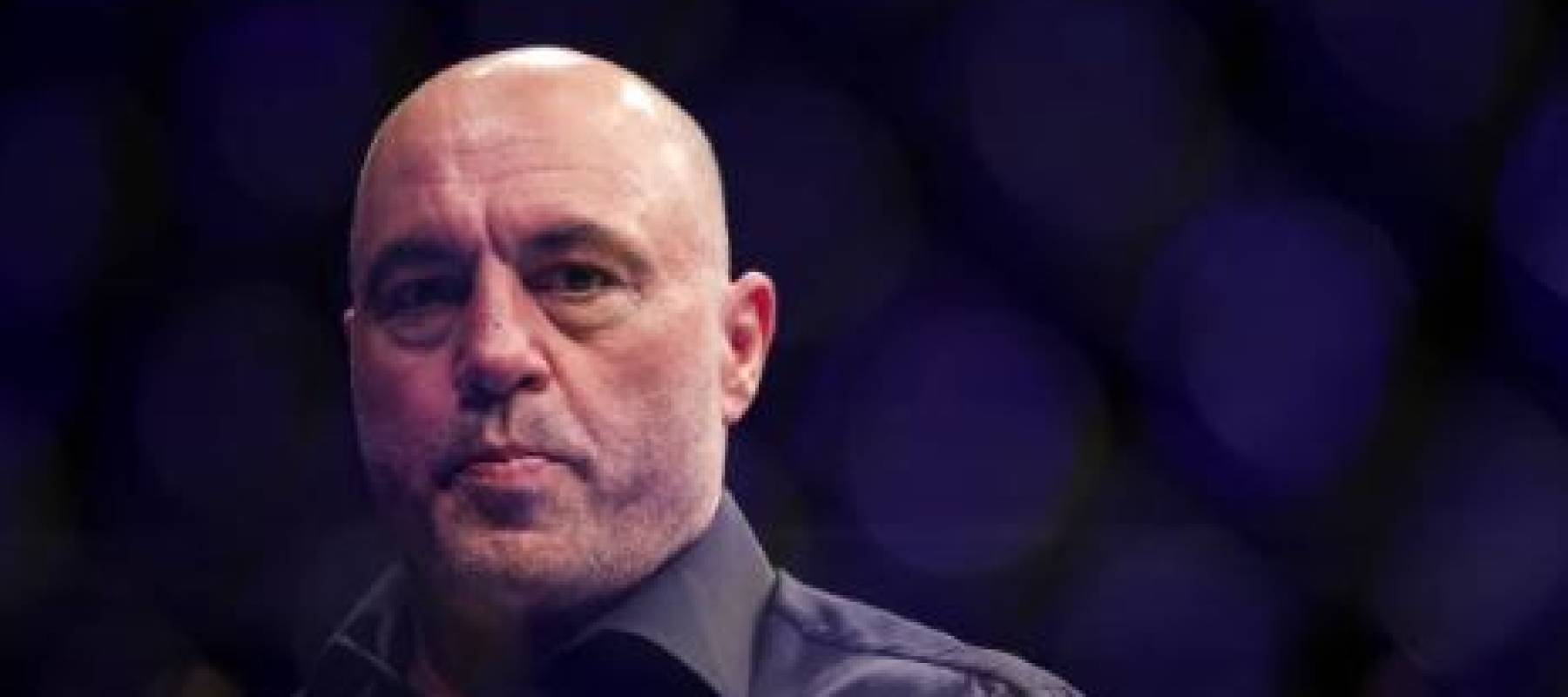 Joe Rogan looks on