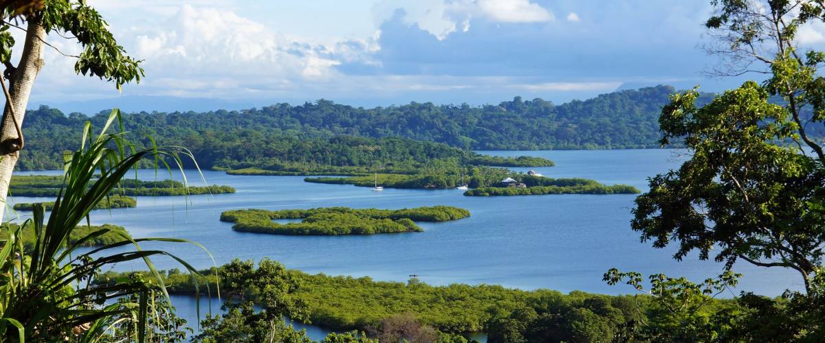 Mangrove island in Bocas del Toro, Panama