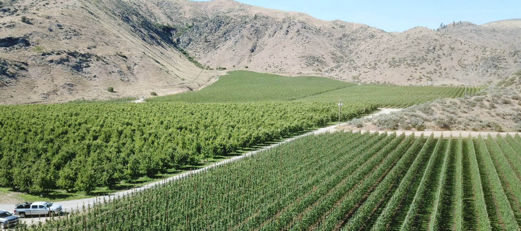 FarmTogether's Daybreak Organic Pear And Apple Orchard