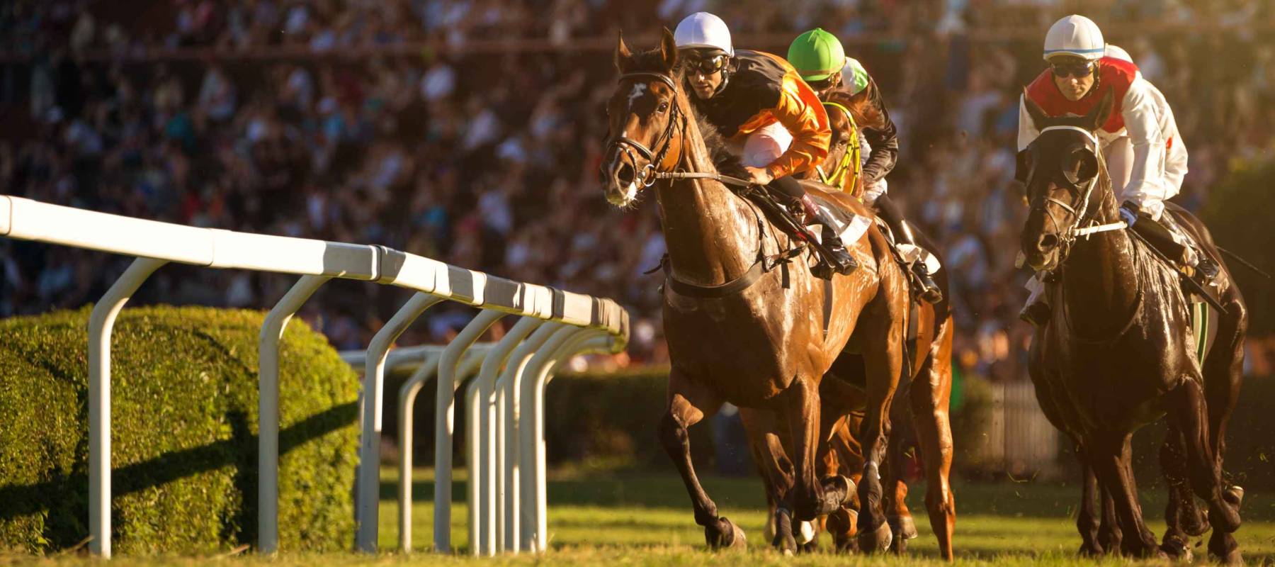 Two jockeys during horse races on his horses going towards finish line. Traditional European sport.