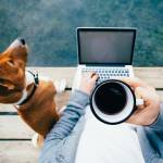 POV of urban millennial or hipster remote worker in startup work on laptop on sea, ocean or park lake wooden pier.