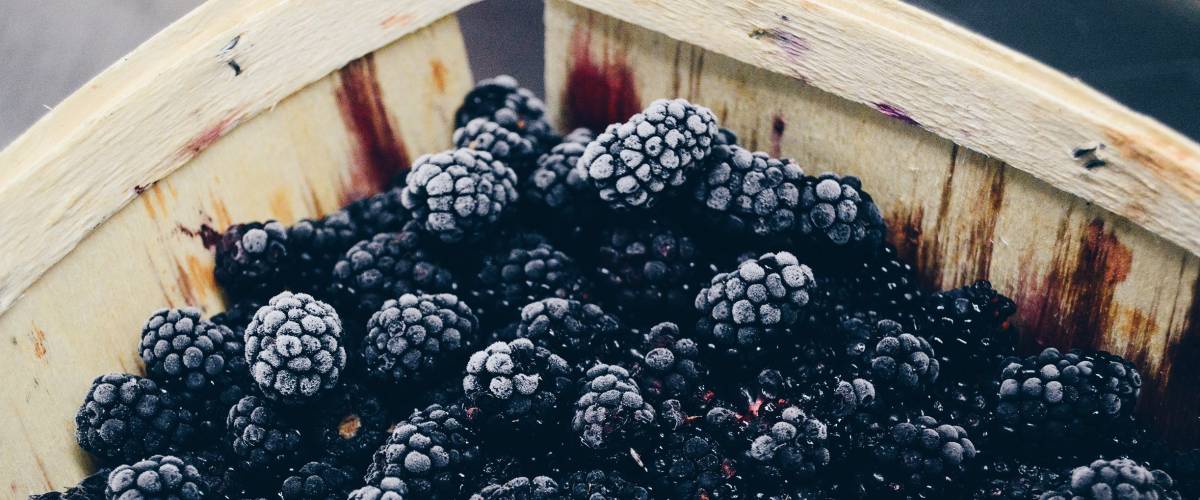 Blackberries in a basket.
