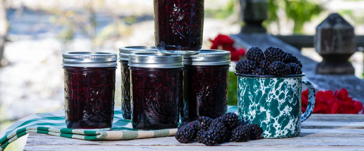 Jars of homemade marionberry preserves