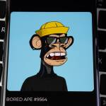 BORED APE 9564 seen on smartphone. Bored Ape Yacht Club (or BAYC