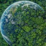 Earth surrounded by trees