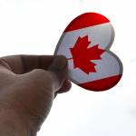 Canada flag in shape of heart with two red maple leaves on wooden background with copy space. Canada day