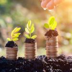 Hands watering young plants growing in germination sequence on golden coins , business concept
