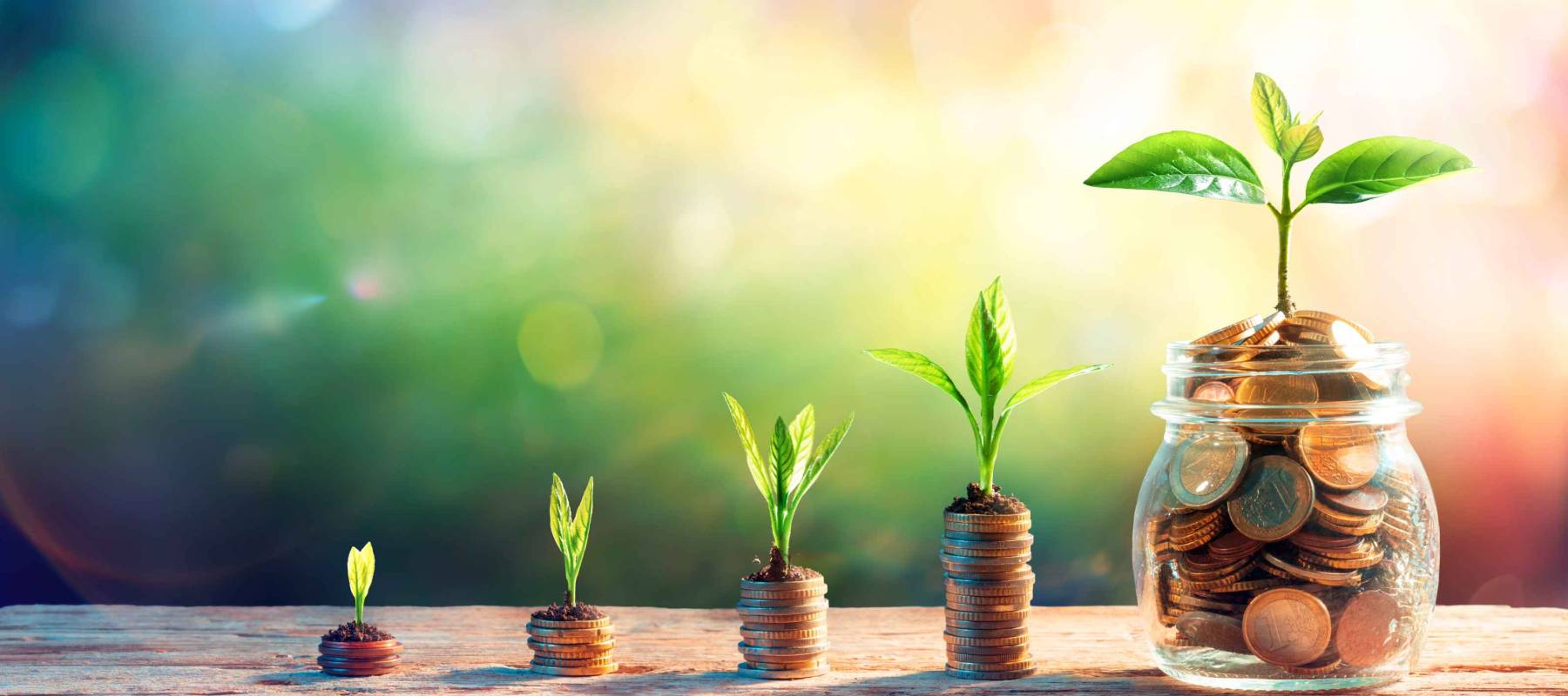 Plants On Money In Increase With Flare Light Effects - Money Growth Concept