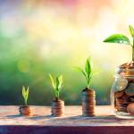 Plants On Money In Increase With Flare Light Effects - Money Growth Concept