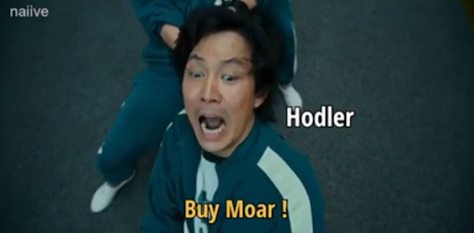 squidgam hodl moar crypto crash