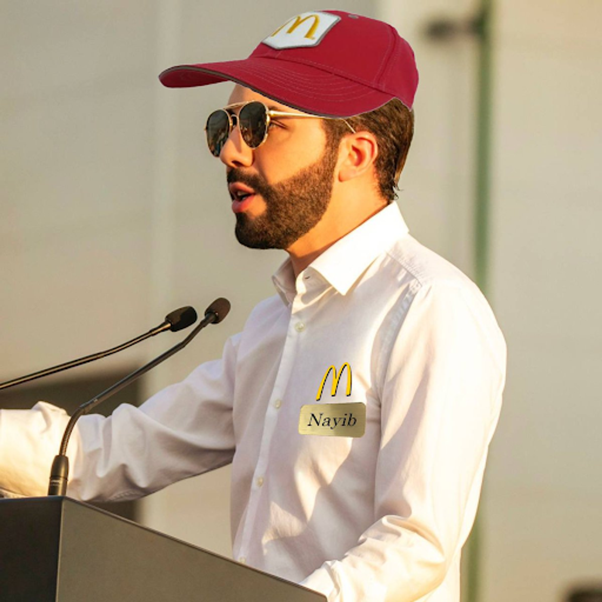 el salvador president mcdonalds crypto