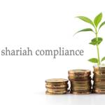 Shariah compliance, financial growth conceptual. .Stack coins in form of uptrend graph represent good returns and tree represent growth.