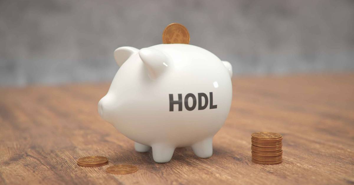 What Does HODL Mean in Crypto & Stocks? Moneywise