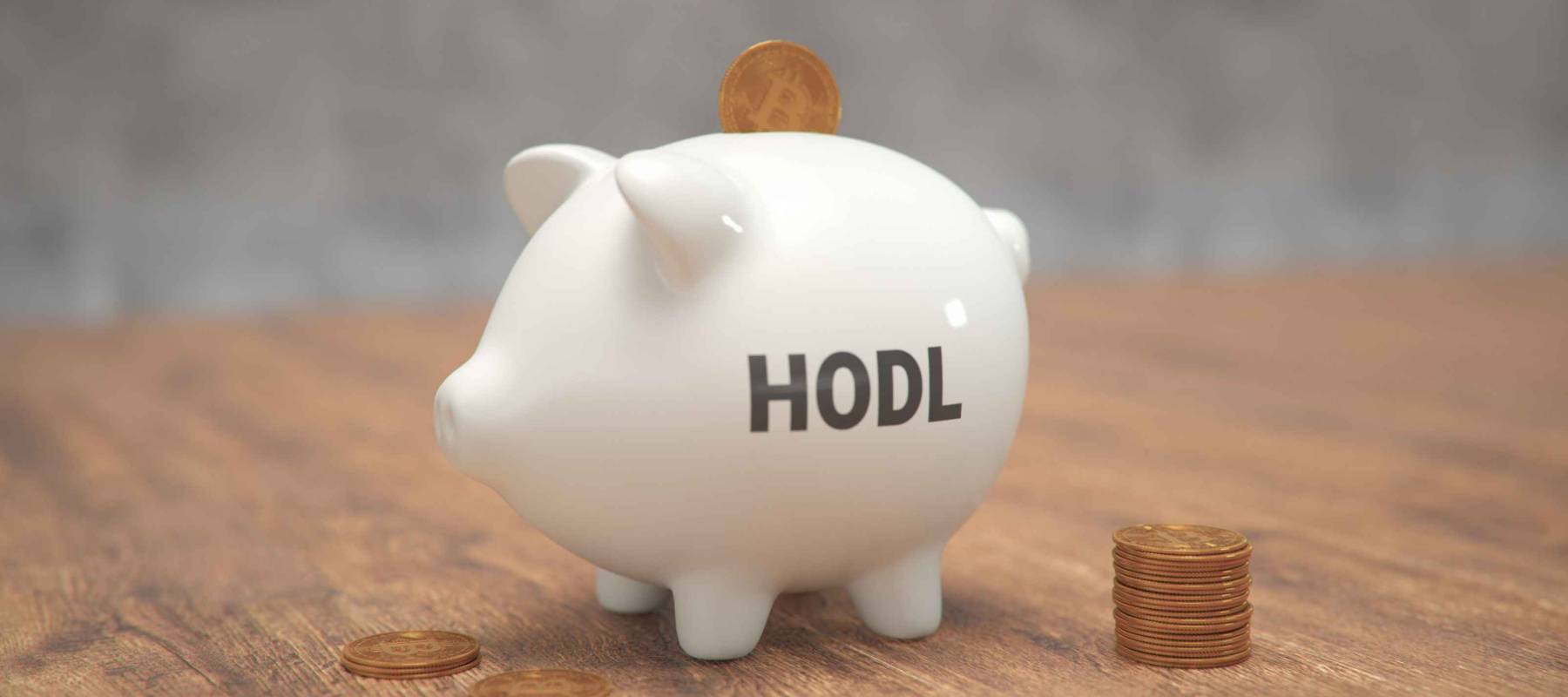 Bitcoin in HODL Piggy Bank