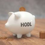 Bitcoin in HODL Piggy Bank