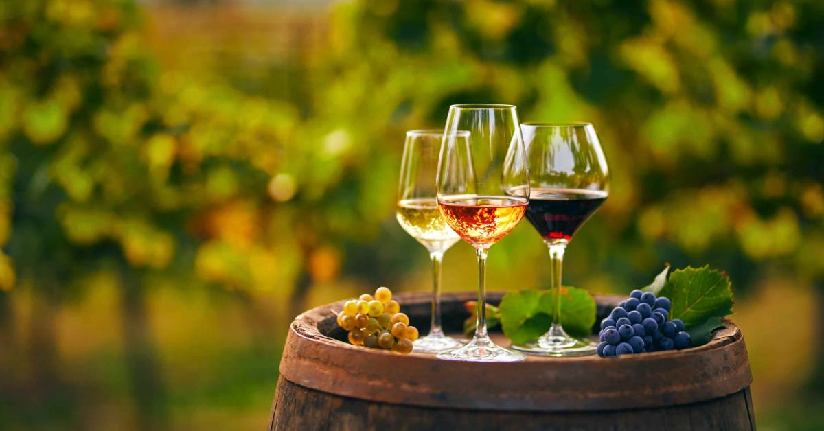 15 Best Wine Stocks (& A Smarter Way to Invest in Wine)