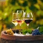 Three glasses with white, rose and red wine on a wooden barrel in the vineyard. Wide photo