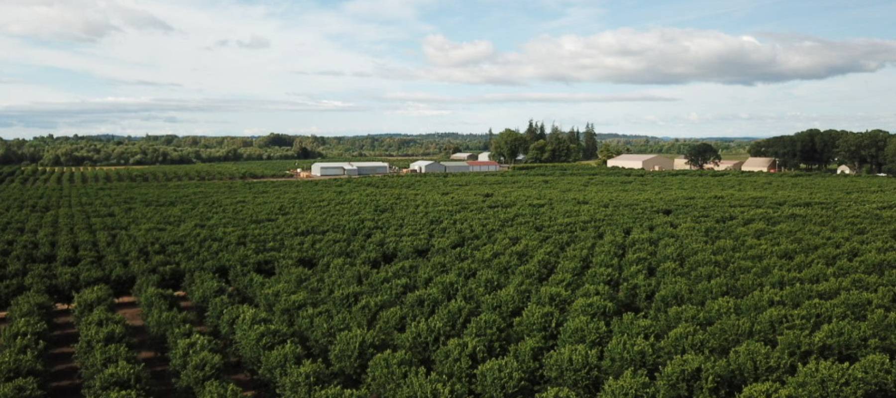 FarmTogether Bespoke Hazelnut Property