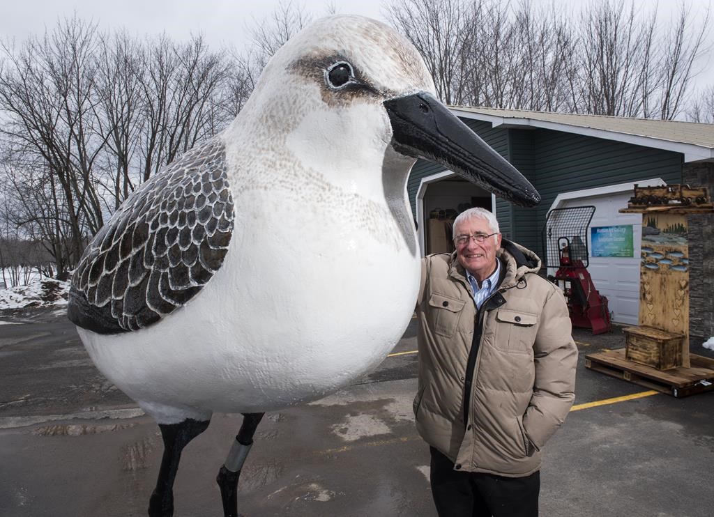 A councillor for a New Brunswick municipality disrupted the pecking order by restoring a giant sandpiper statue to its perch without going through established procedures, says a report. Robin