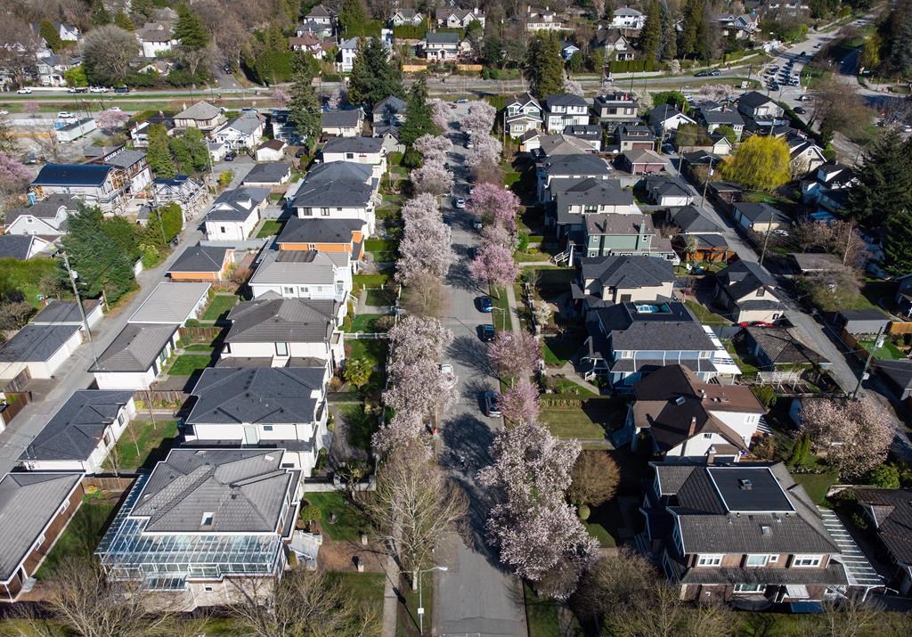Cherry blossom trees line a residential street in Vancouver, on Tuesday, April 4, 2023.The Real Estate Board of Greater Vancouver says new listings were up in February as home sellers shed so