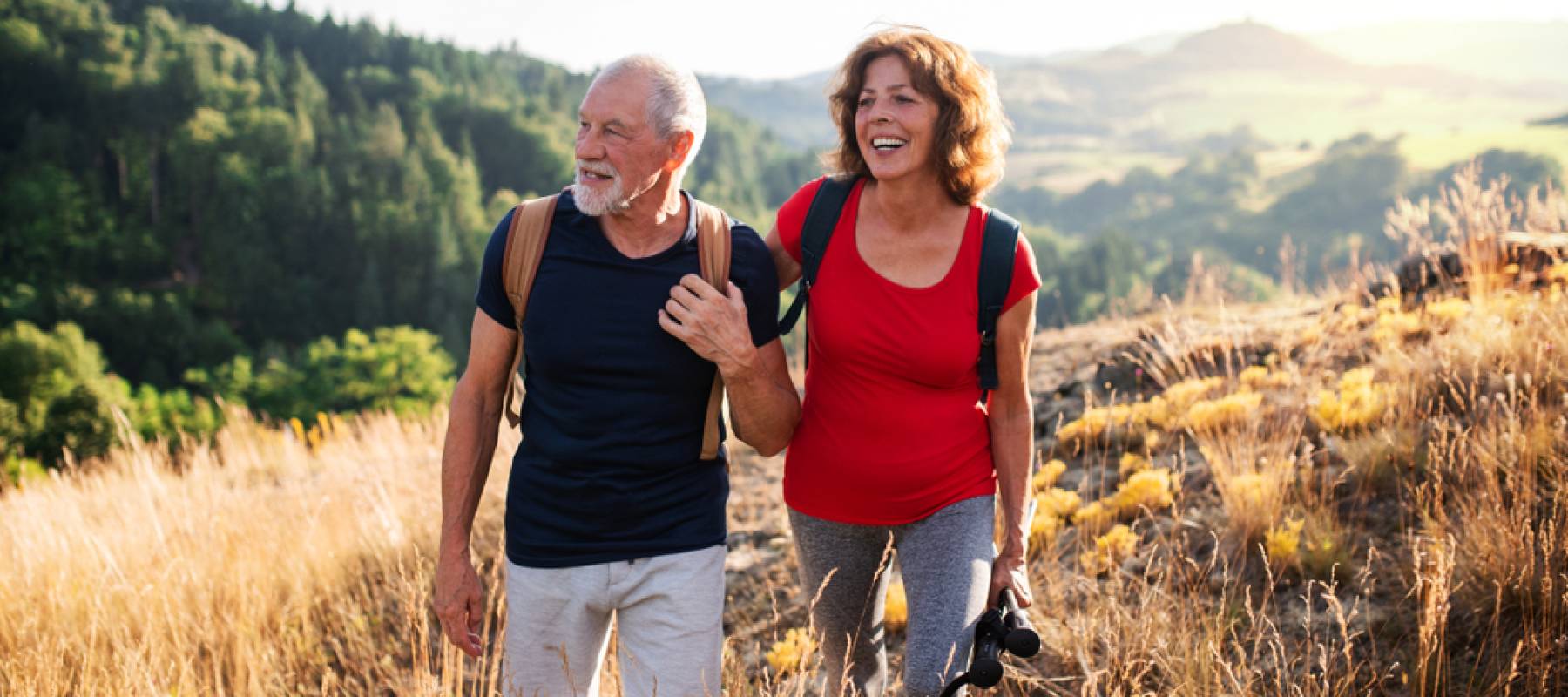 Senior tourist couple travellers hiking in nature
