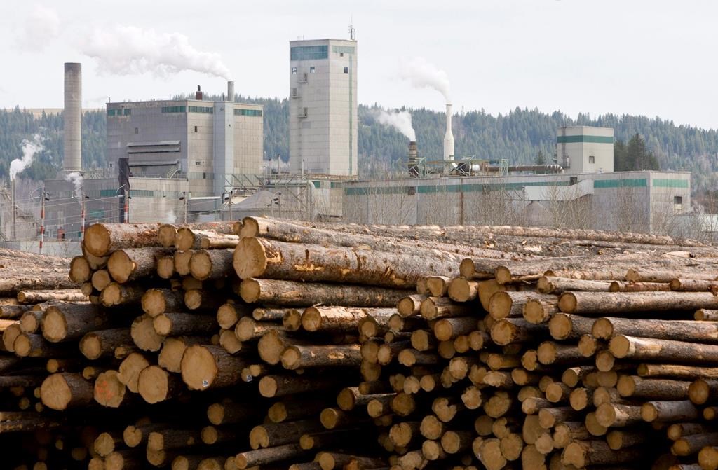 Logs are piled up at West Fraser Timber in Quesnel, B.C., Tuesday, April 21, 2009. West Fraser Timber Co. and Mercer International Inc. are dissolving their 50/50 joint venture in Cariboo Pul