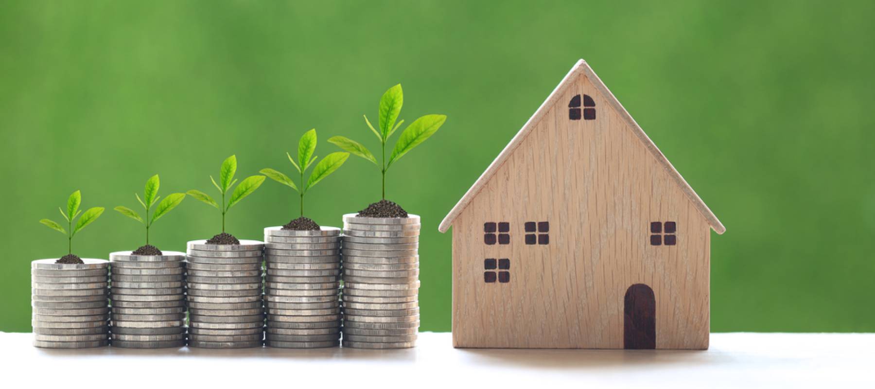 Plant growing on stack of coins money and Model house on natural green background