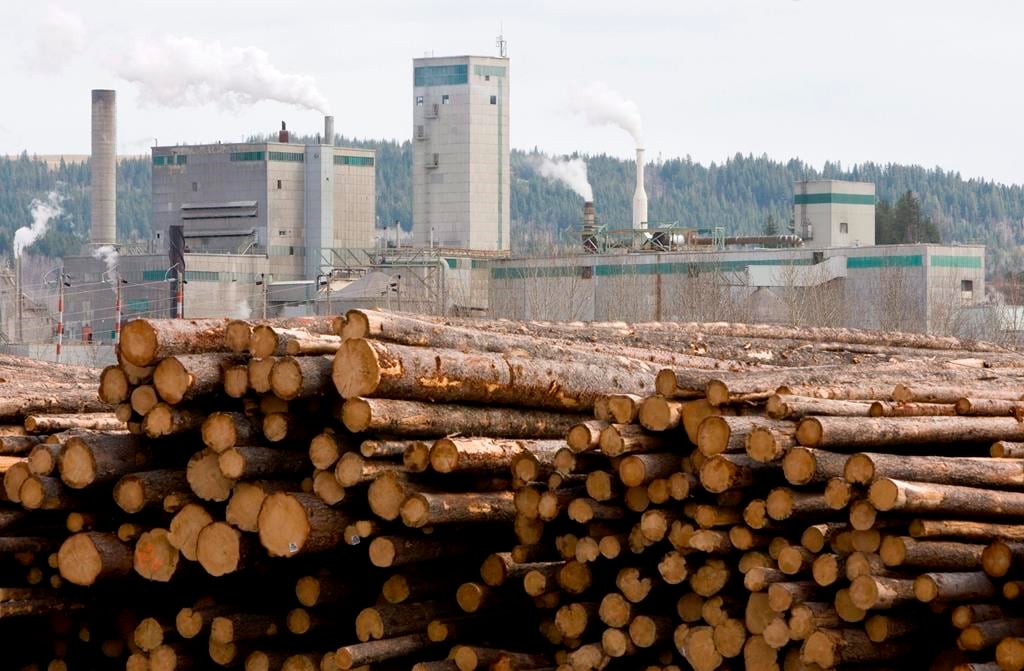 A 2.5-million-litre discharge of effluent from a fibreboard factory in Quesnel, B.C., poses &quot;no immediate risk to public safety,&quot; according to the B.C. Environment Ministry. Logs are piled up