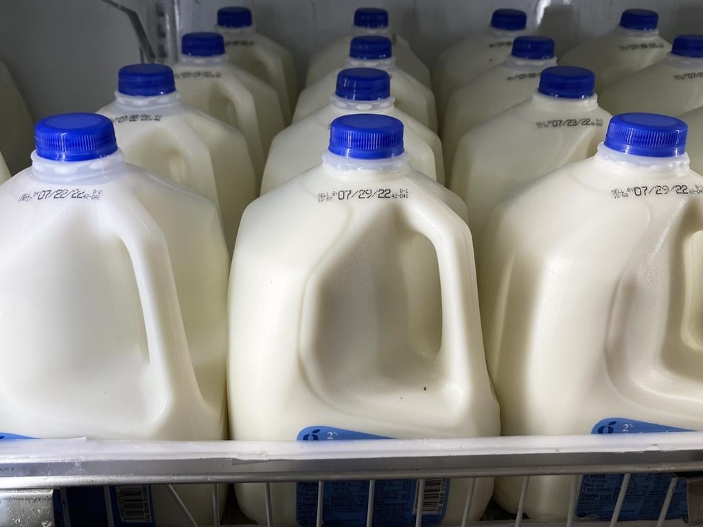 Milk is displayed at a grocery store in Philadelphia, Tuesday, July 12, 2022. The British Columbia government is spending up to $25 million toward the construction of a milk production plant 