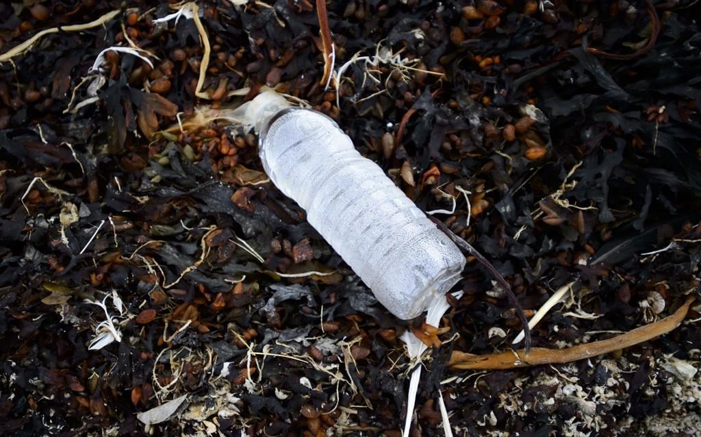 New Canadian data suggest that over a nine-year period between 2012 and 2020, the equivalent of more 15 billion plastic bottles and as many as 14 billion plastic grocery bags became litter in