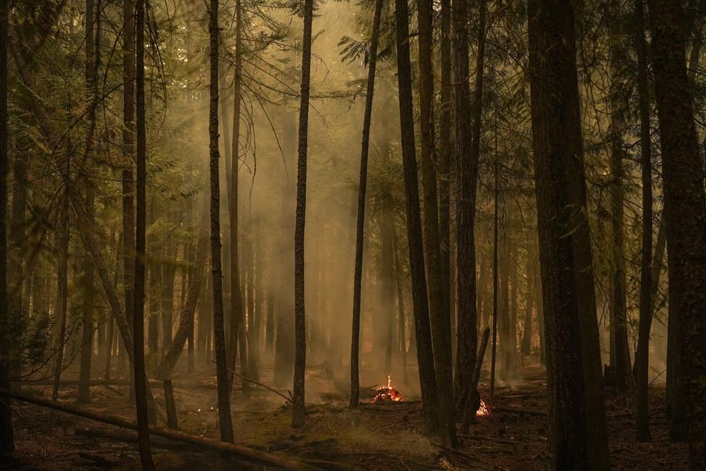 Intact Financial Corp. says it has launched a pilot program to reduce wildfire damage to customers&#039; homes in Western Canada as another season of elevated fire risk approaches. Hot spots from 