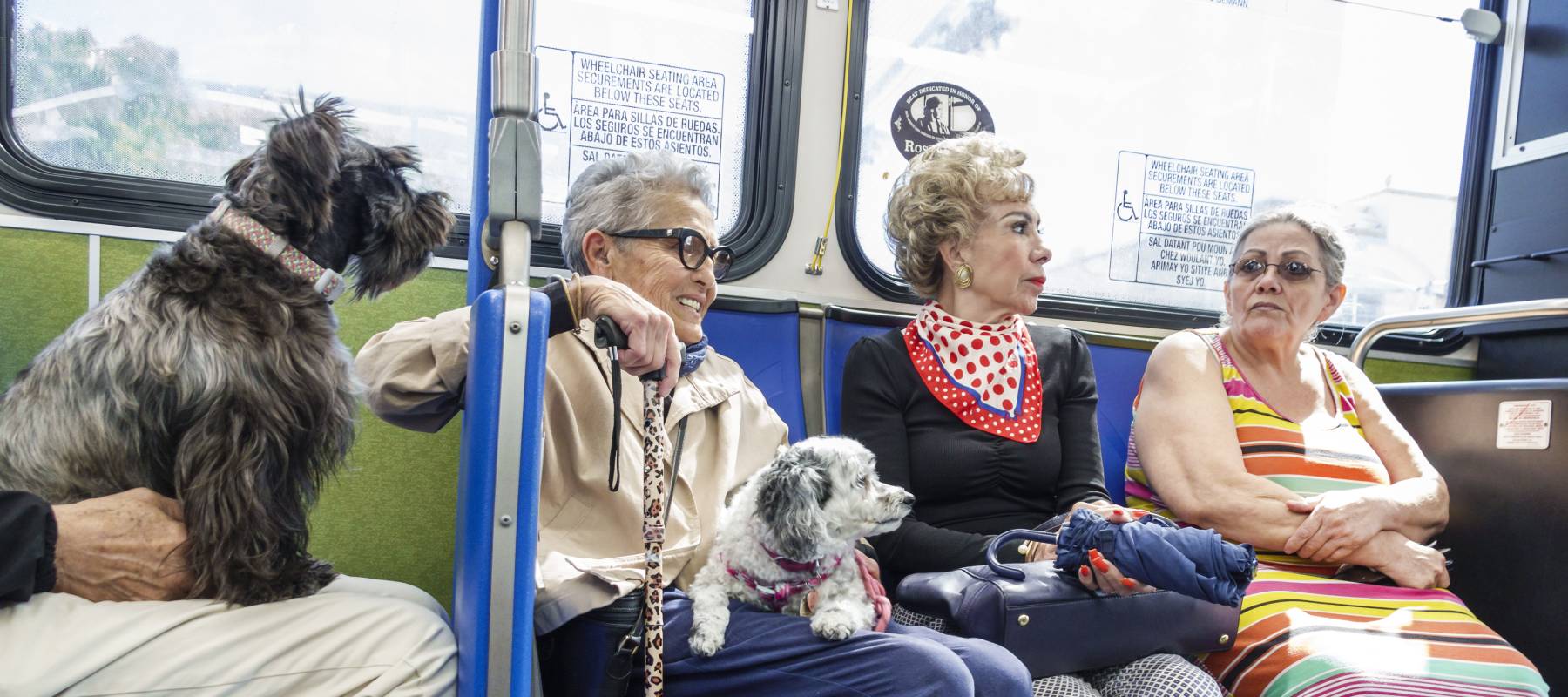 Passengers riding on Miami city bus.
