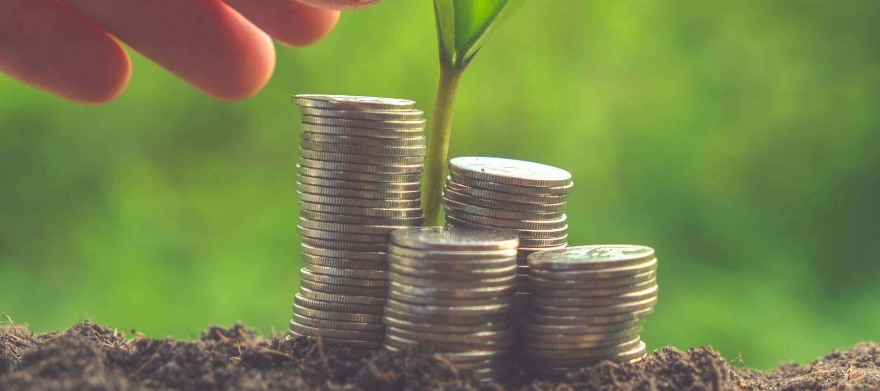 Money and plant with hand with filter effect retro vintage style