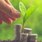 Money and plant with hand with filter effect retro vintage style
