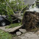 A postal worker walks near a car crushed by a tree.