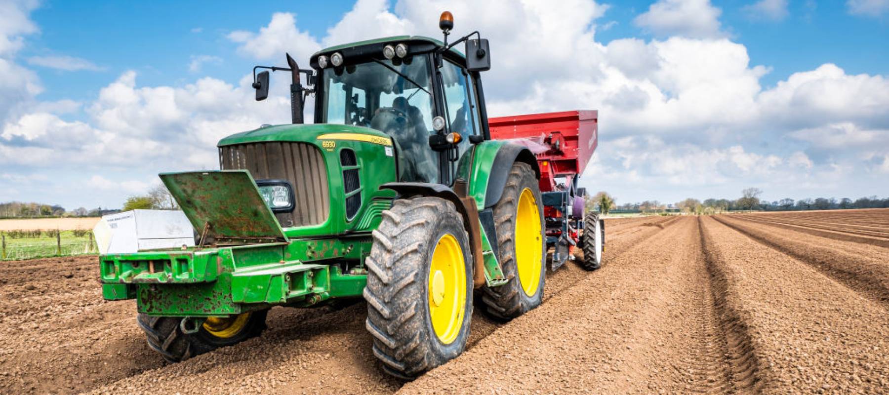 Mechanised planting of seed potatoes using a dewulf 3 row belt planter behind a John Deere tractor.