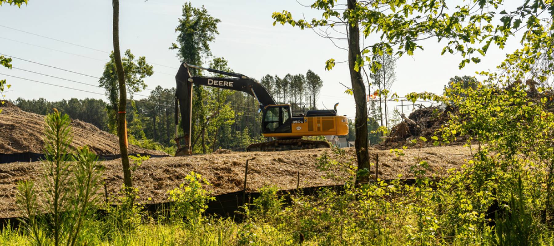 Excavator is Digging up Trees in a Forest to Prepare a Building Lot.