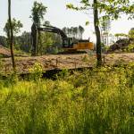 Excavator is Digging up Trees in a Forest to Prepare a Building Lot.