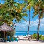 Palm trees and umbrellas in beautiful beach in tropical island resort, Key Largo. Florida.