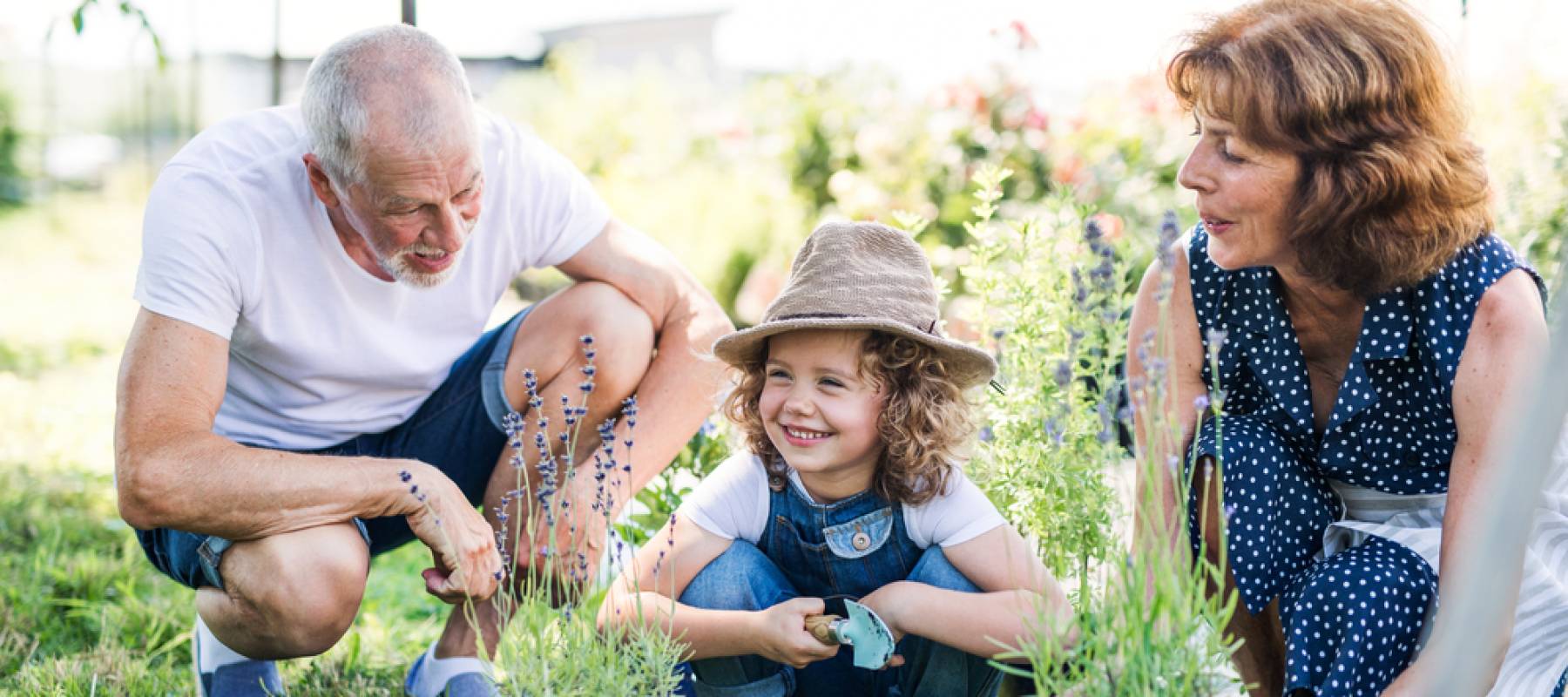 senior grandparents and granddaughter gardening in the backyard garden