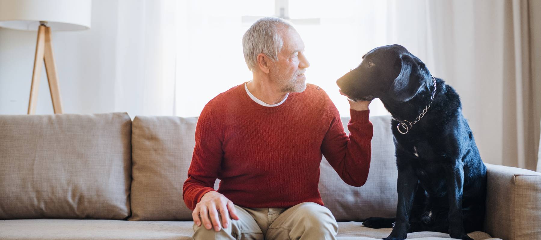 A senior male sits on the couch with his dog, considering his will options.