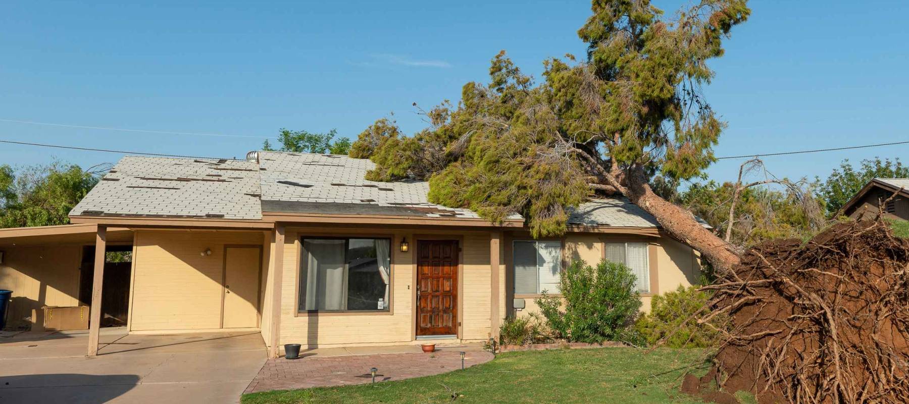 Tree damage after a major monsoon in Phoenix, AZ