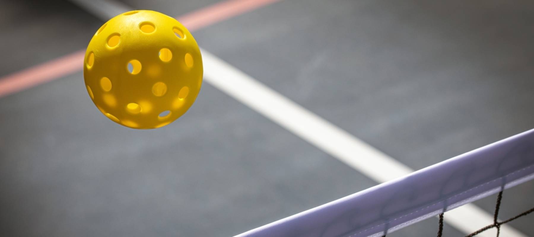 Pickleball about to hit a net